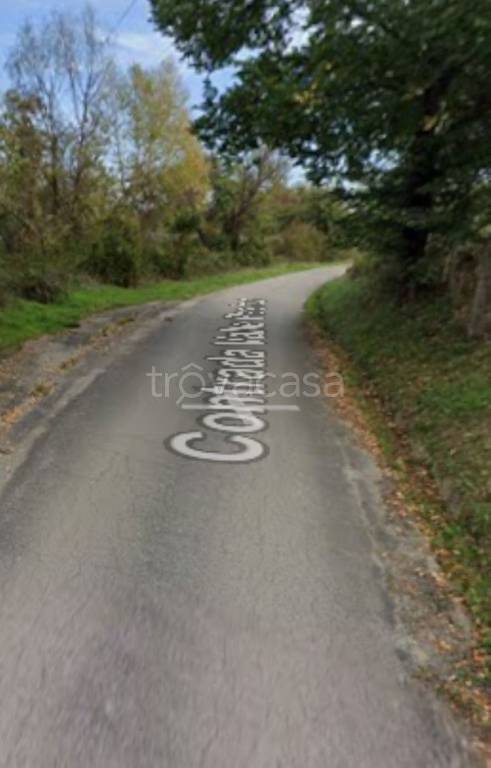 immagine annuncio 10 di 11