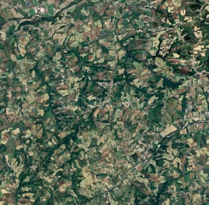 immagine annuncio 6 di 14