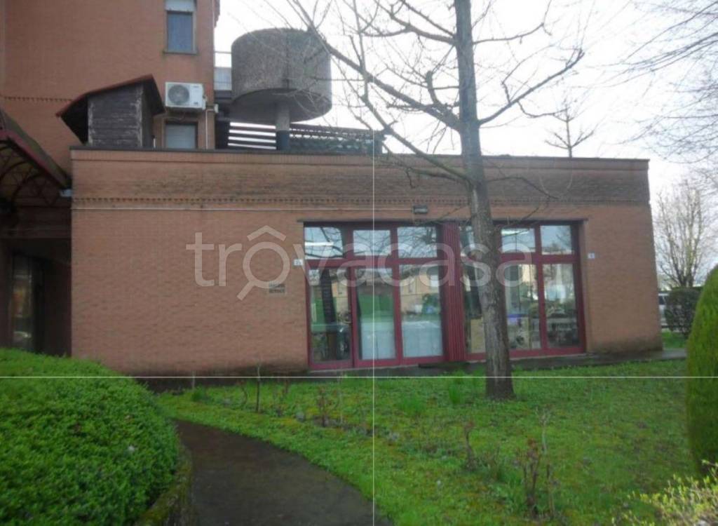 immagine annuncio 1 di 13