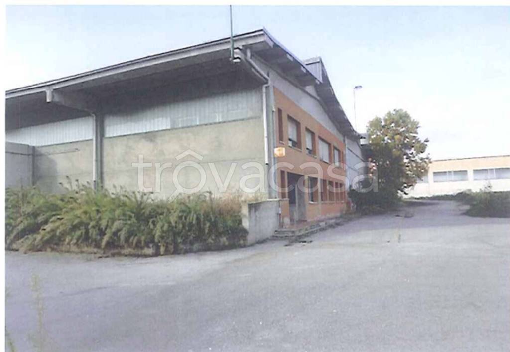 immagine annuncio 2 di 12