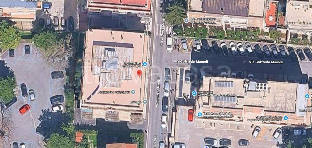 immagine annuncio 12 di 13