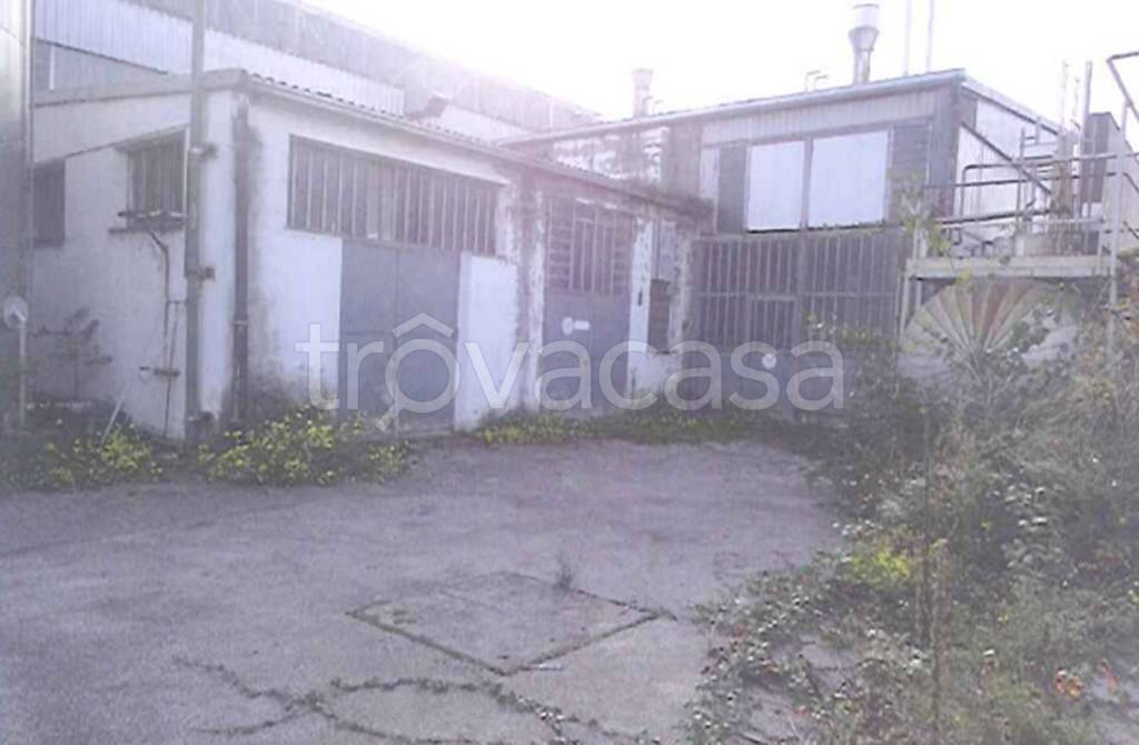 immagine annuncio 3 di 12