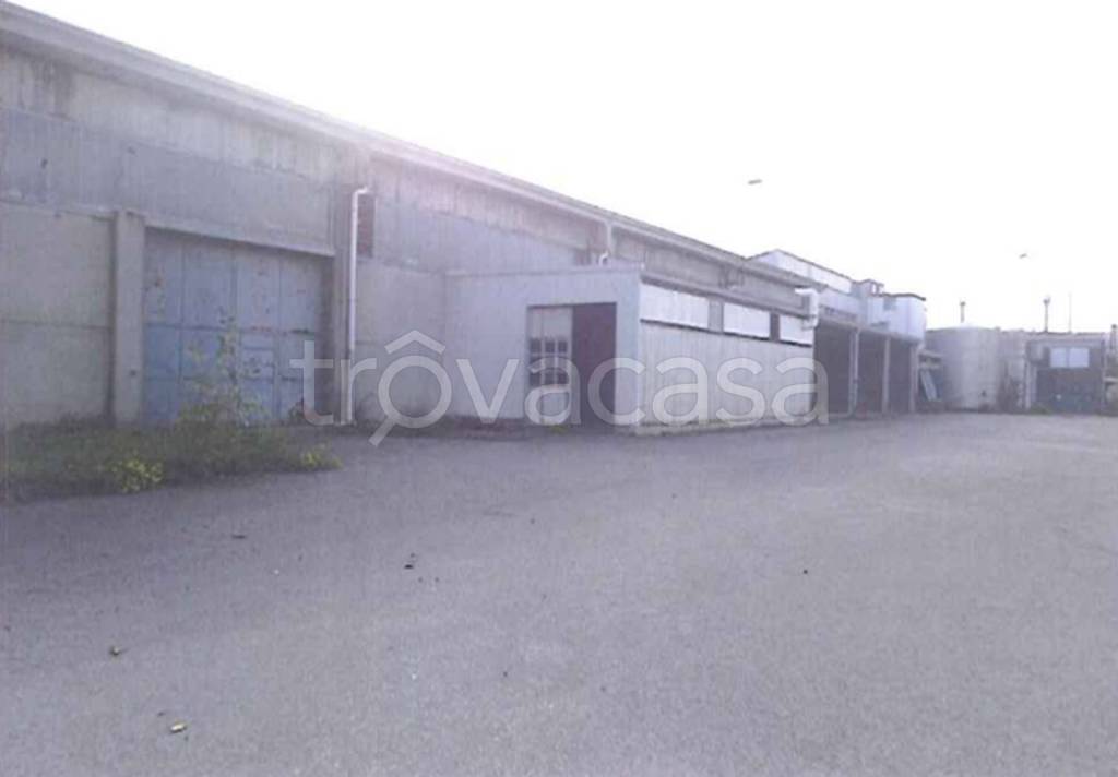 immagine annuncio 4 di 12