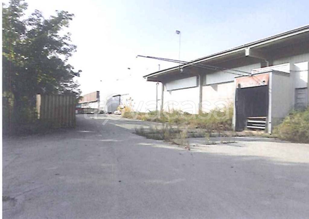 immagine annuncio 5 di 12