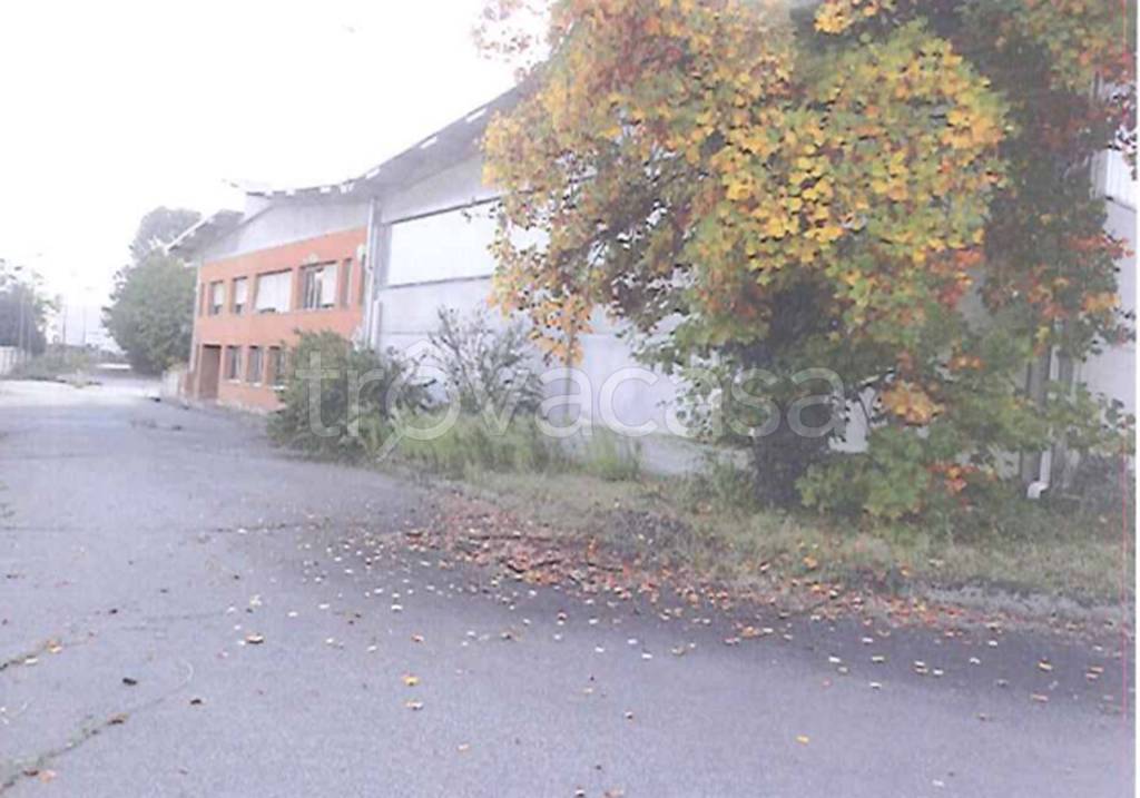 immagine annuncio 6 di 12