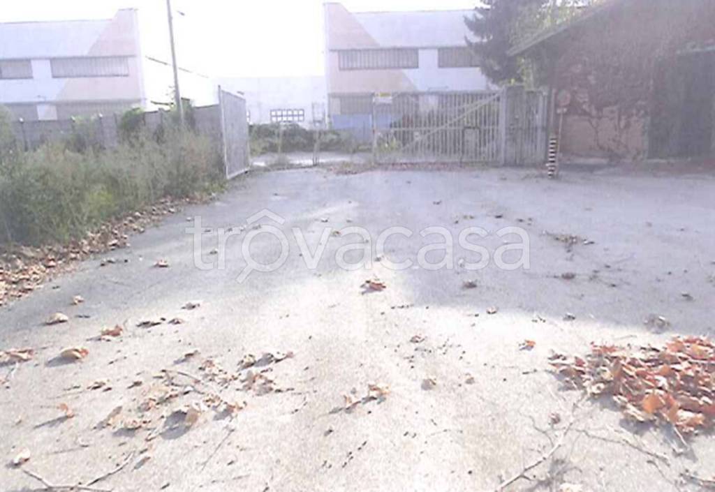 immagine annuncio 7 di 12