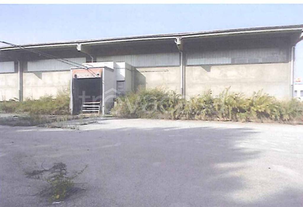 immagine annuncio 8 di 12