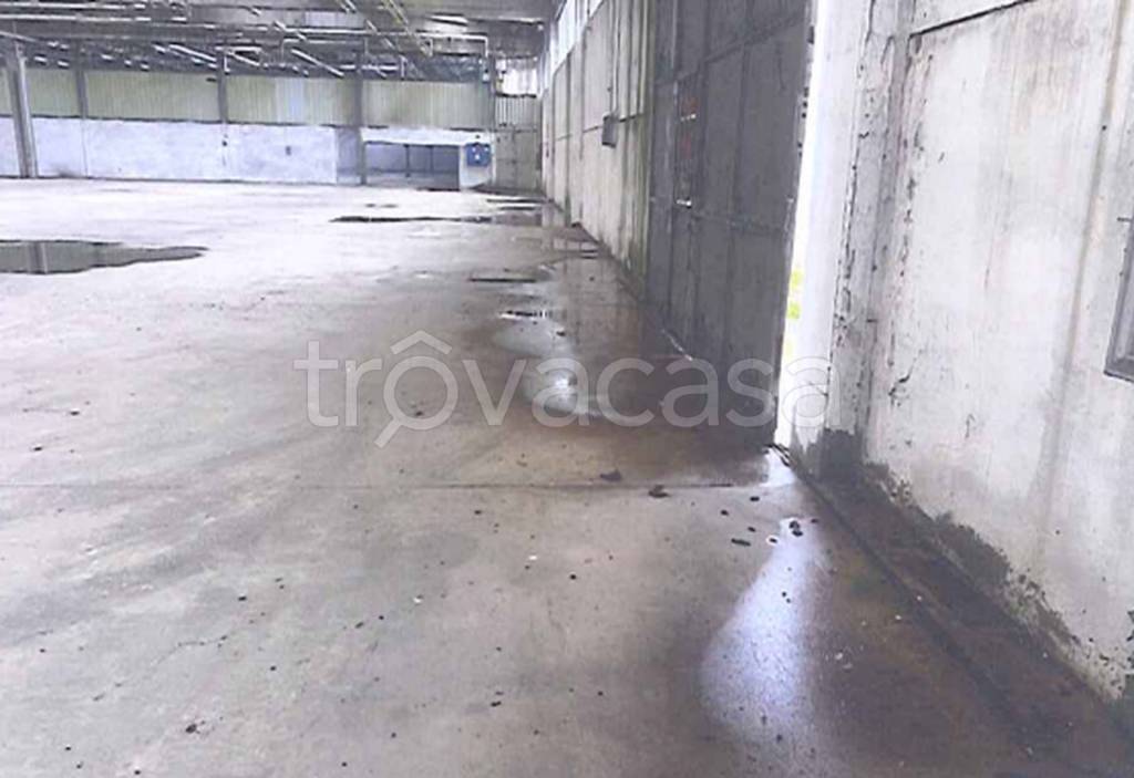 immagine annuncio 9 di 12