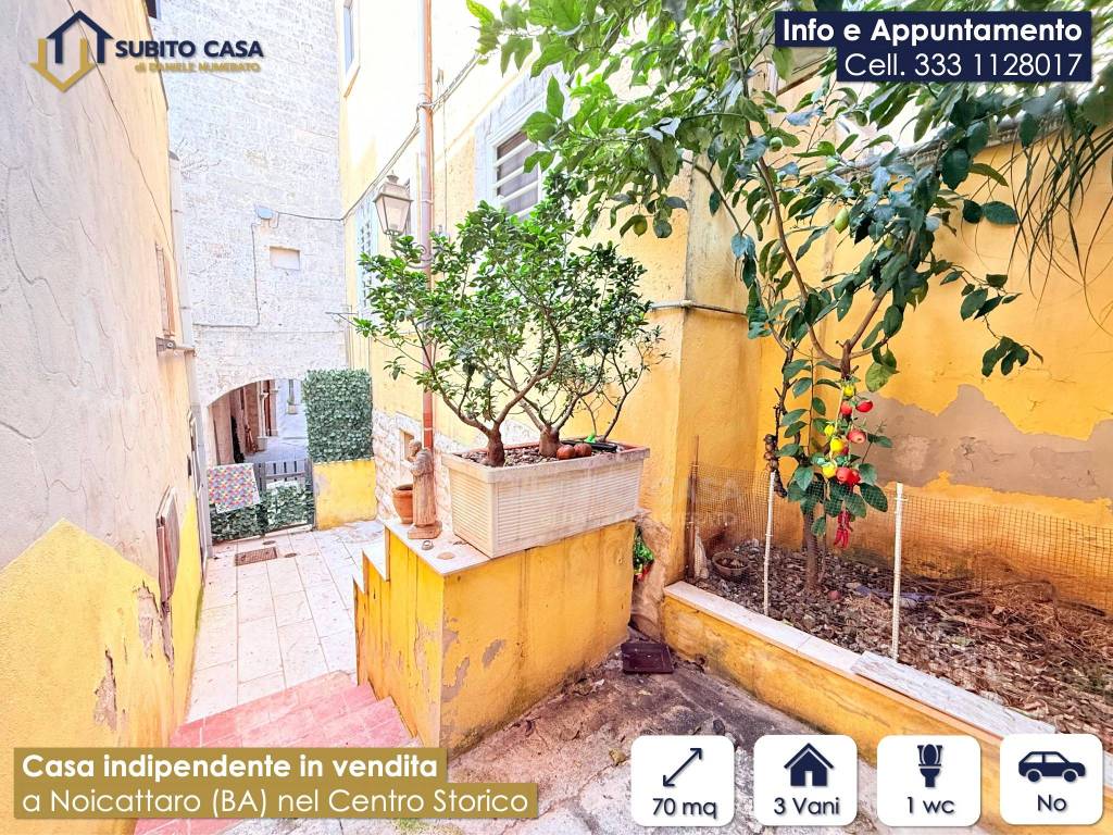 immagine annuncio 10 di 12