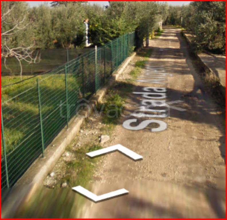 immagine annuncio 2 di 12