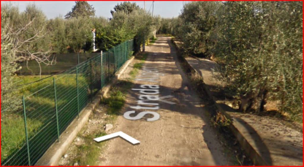 immagine annuncio 3 di 12