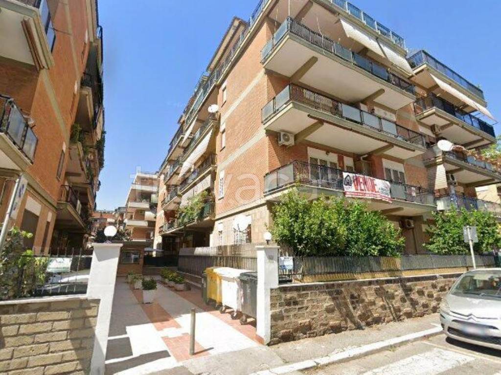 immagine annuncio 1 di 12