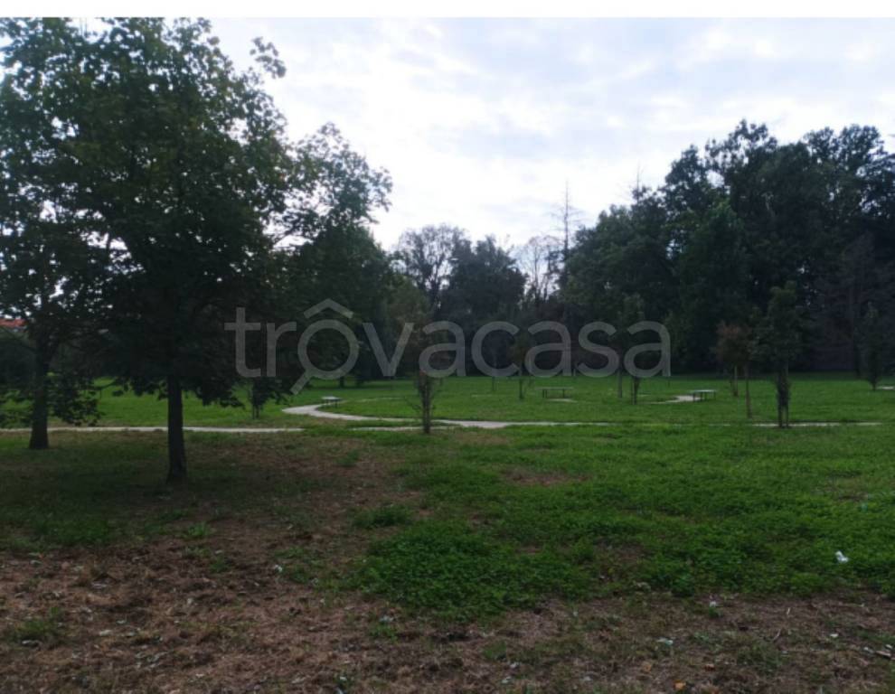 immagine annuncio 5 di 13