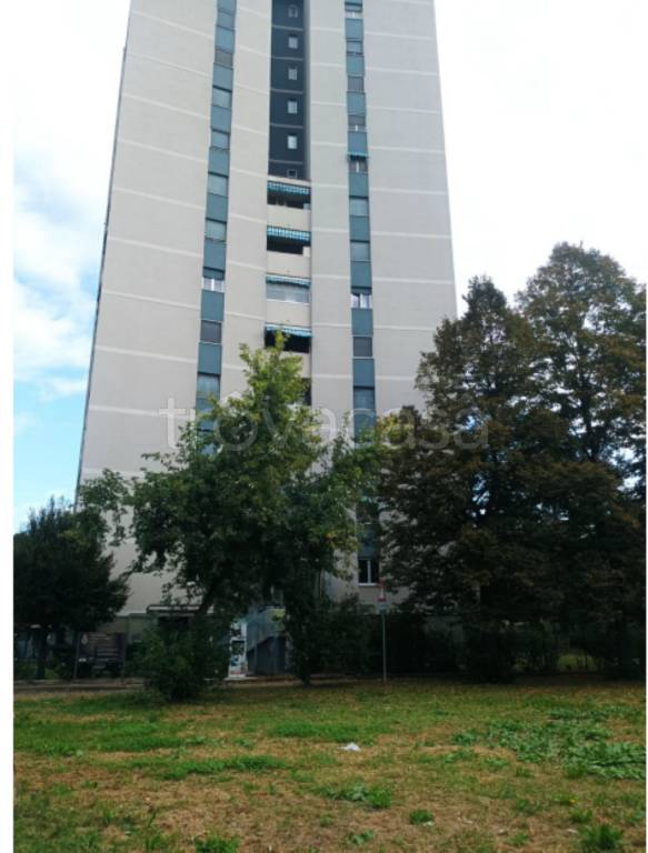 immagine annuncio 6 di 13