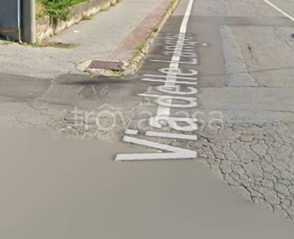 immagine annuncio 4 di 12