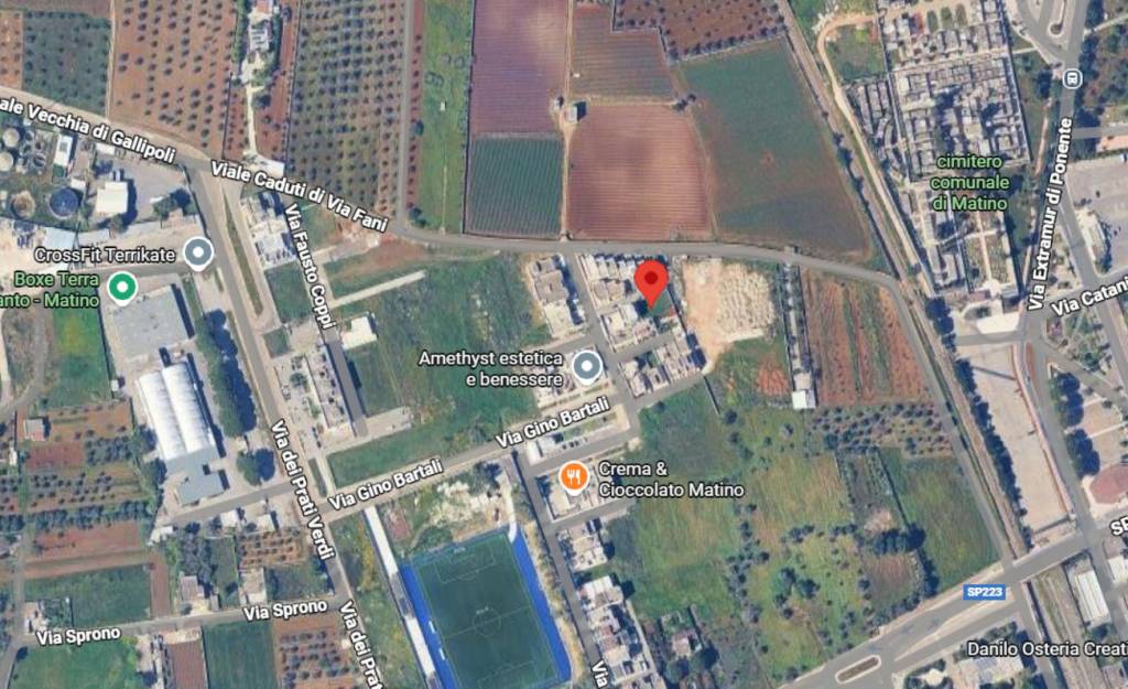 immagine annuncio 3 di 12