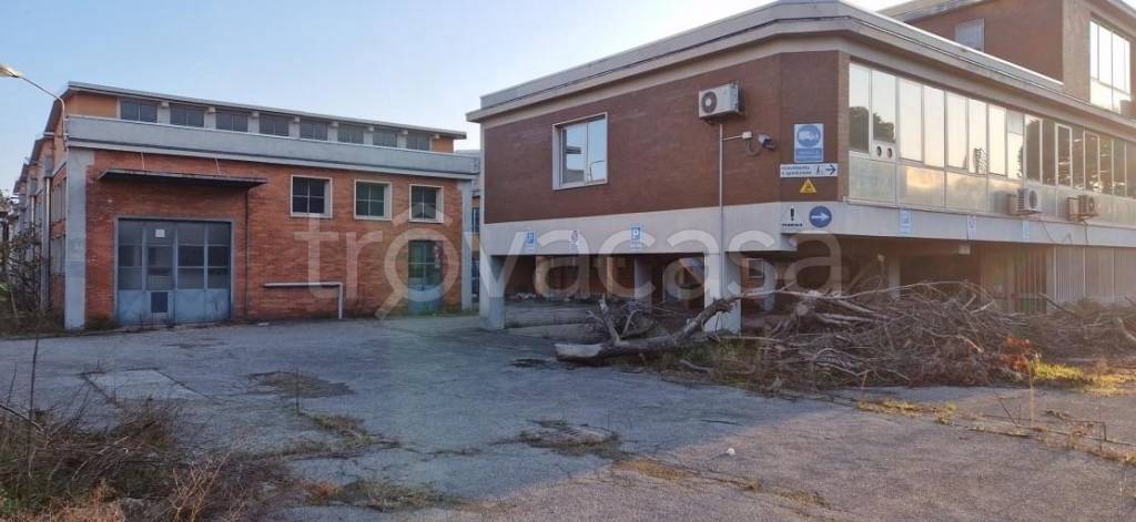 immagine annuncio 2 di 7