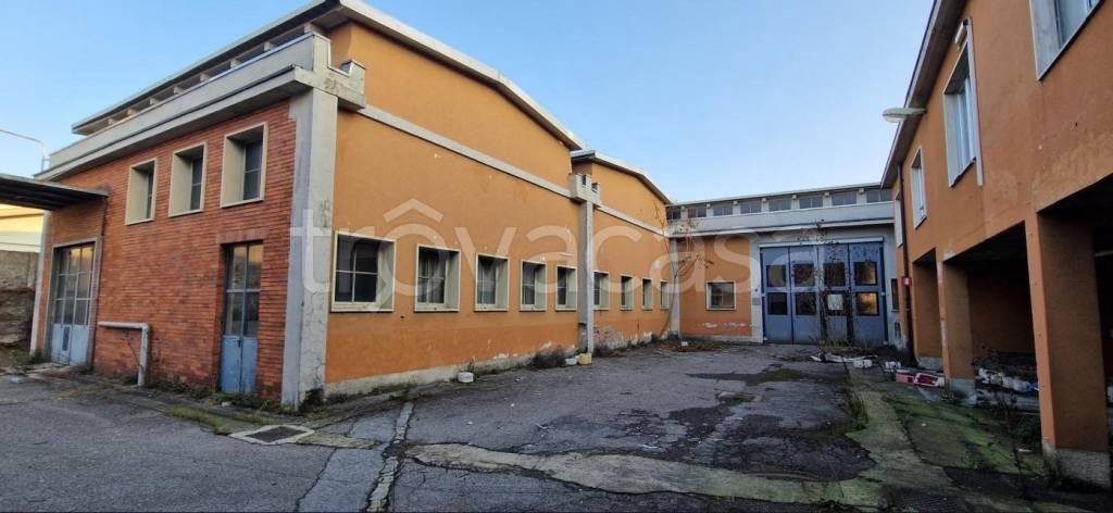 immagine annuncio 3 di 7