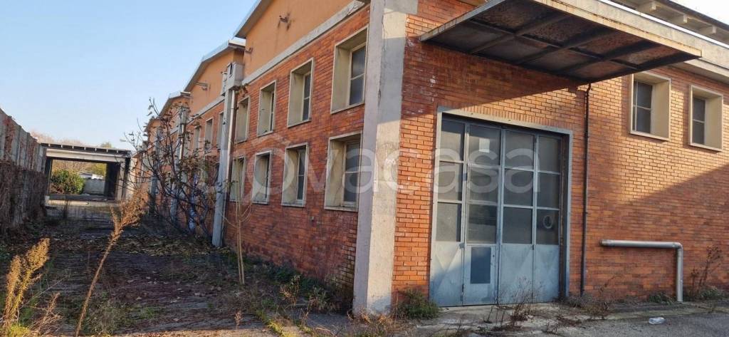 immagine annuncio 4 di 7