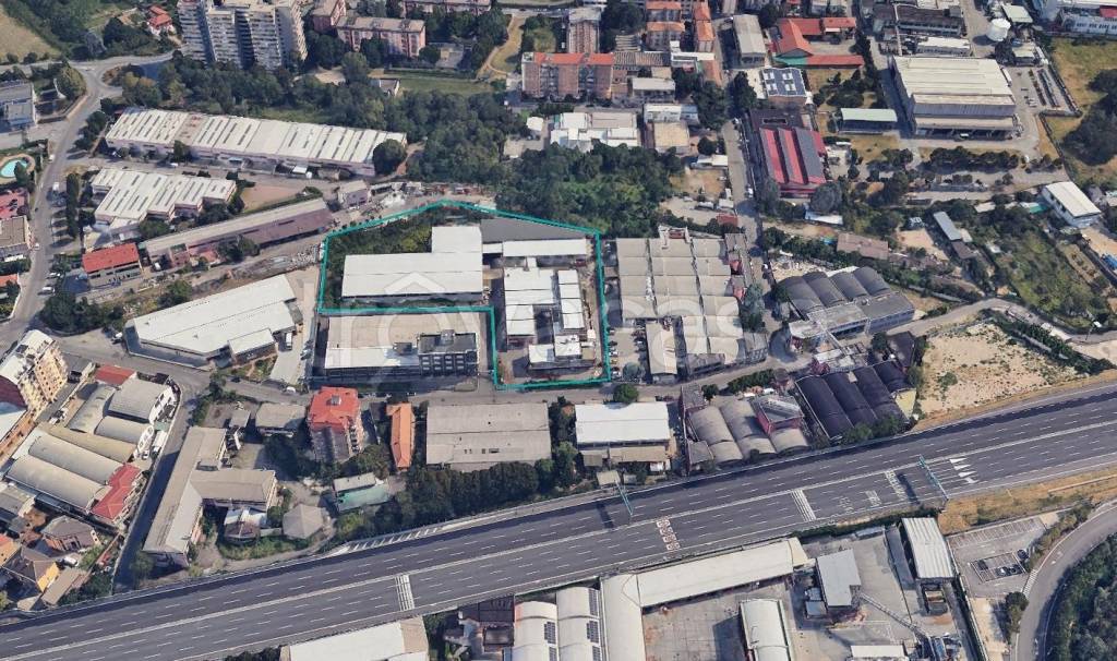 immagine annuncio 5 di 7