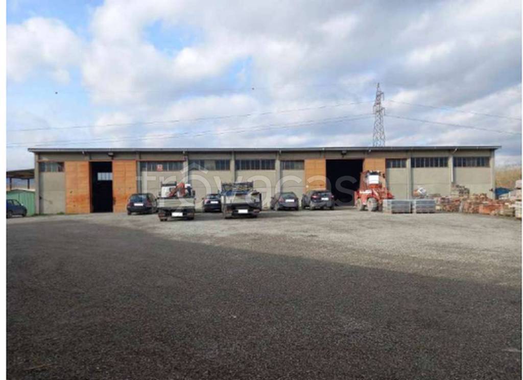 immagine annuncio 2 di 12