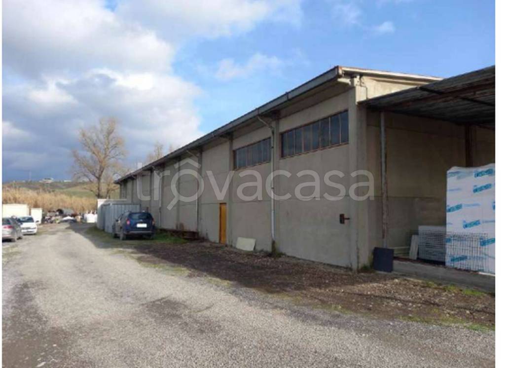 immagine annuncio 4 di 12