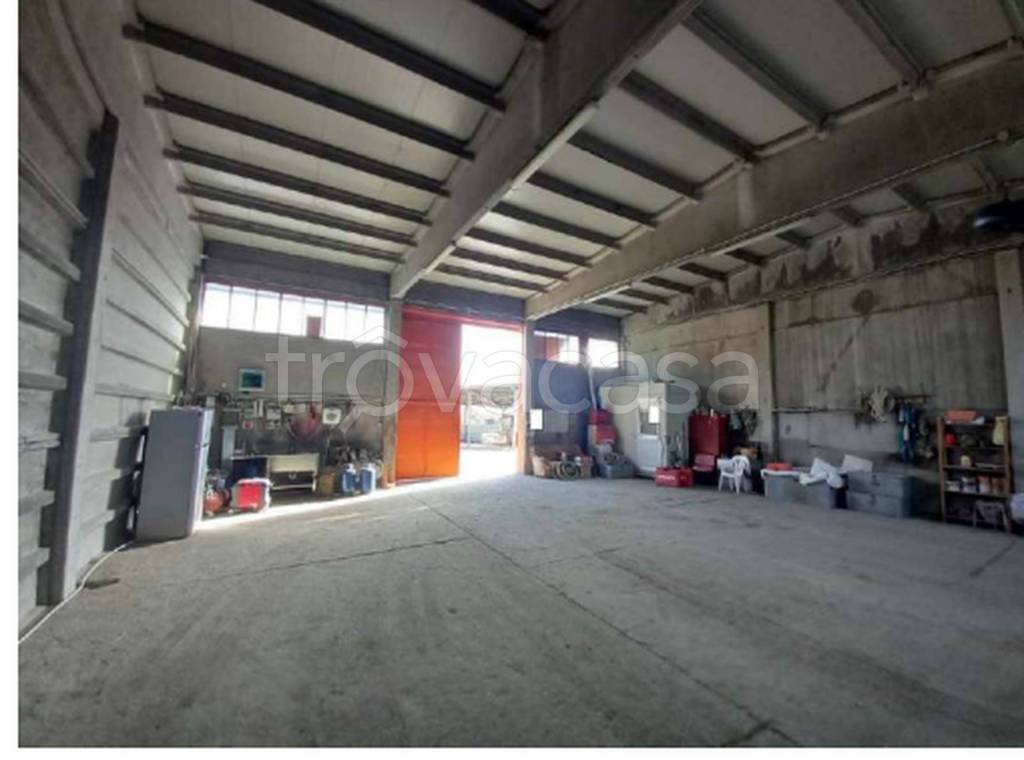 immagine annuncio 5 di 12