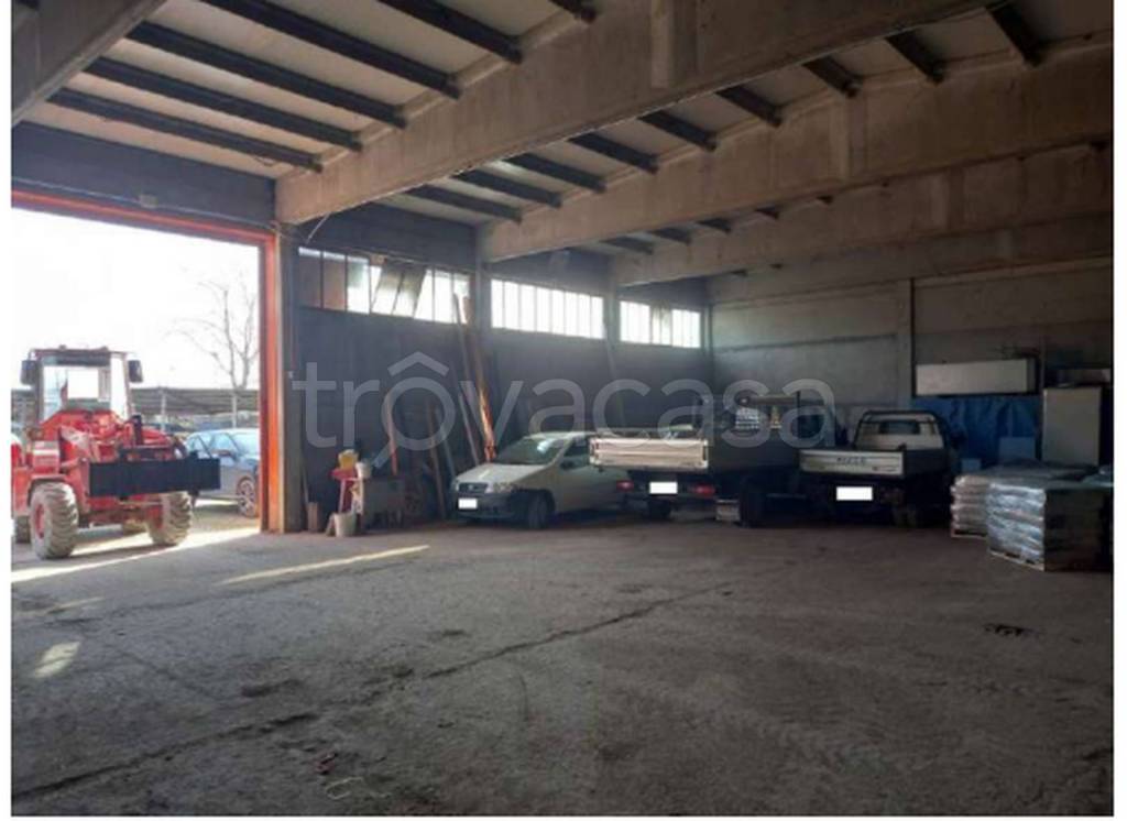 immagine annuncio 7 di 12