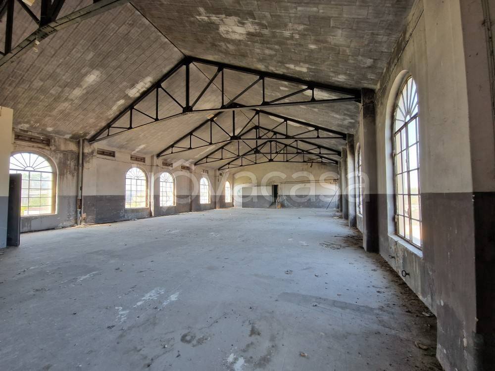 immagine annuncio 6 di 12