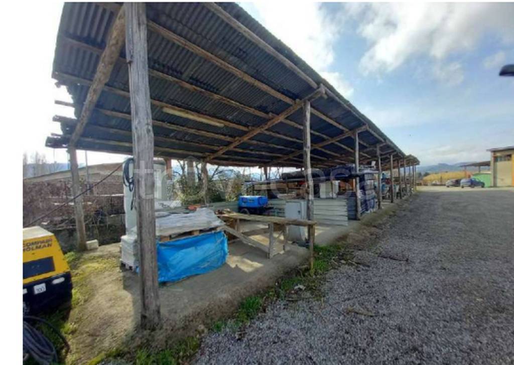 immagine annuncio 9 di 12