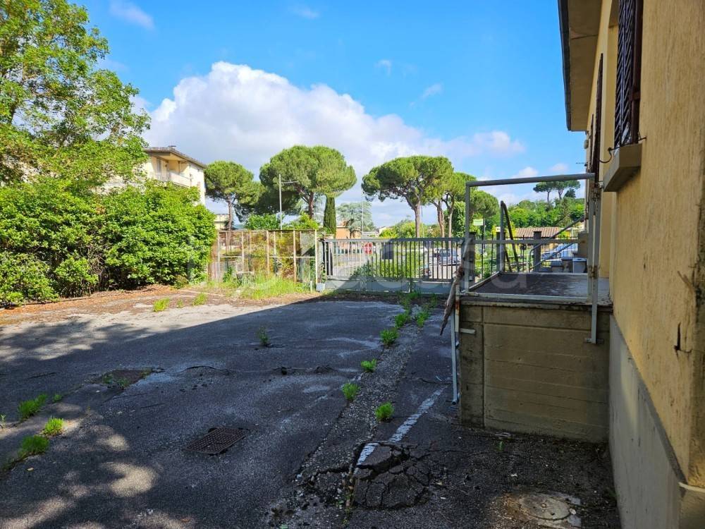 immagine annuncio 1 di 6