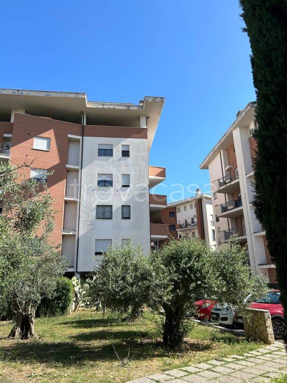 immagine annuncio 2 di 6