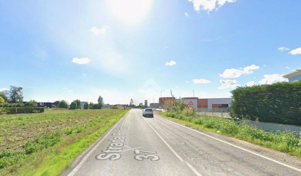 immagine annuncio 2 di 6