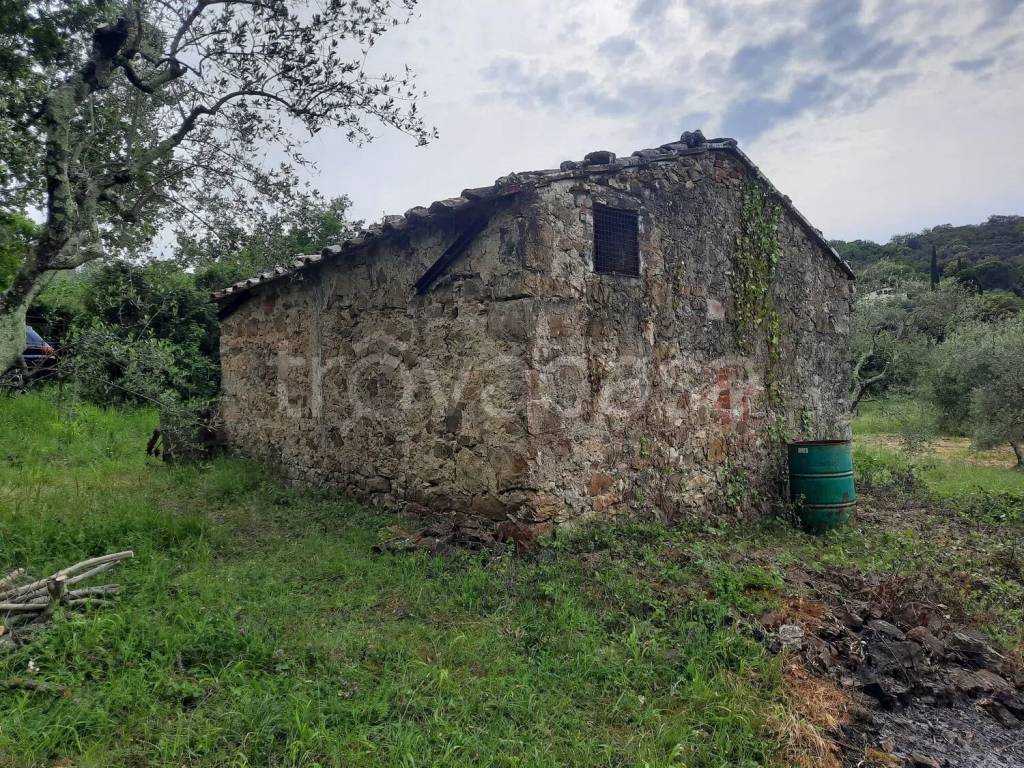 immagine annuncio 1 di 8