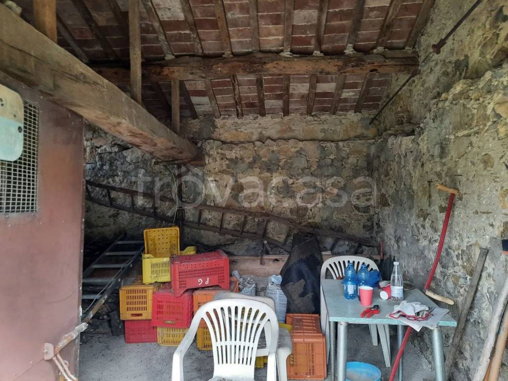 immagine annuncio 3 di 8