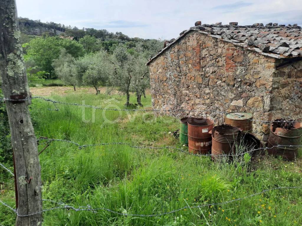 immagine annuncio 4 di 8