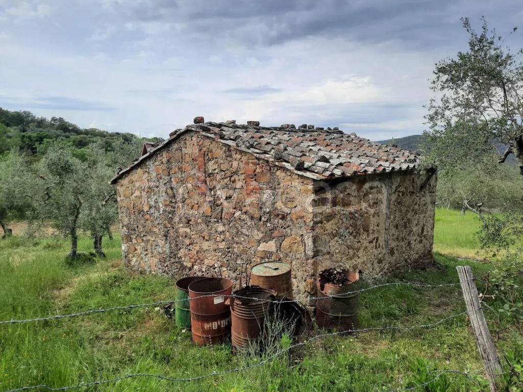 immagine annuncio 5 di 8