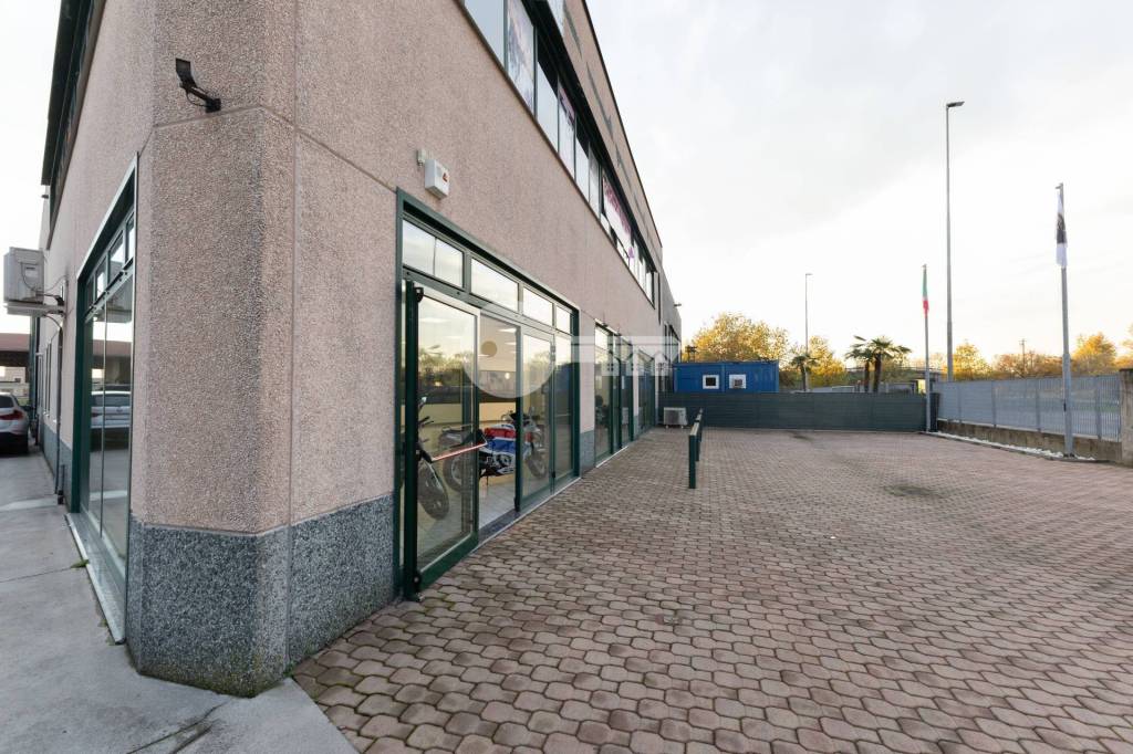 immagine annuncio 3 di 15