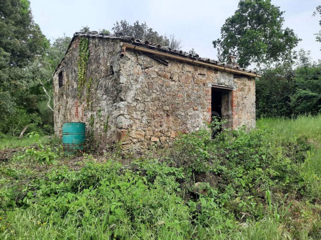 immagine annuncio 6 di 8