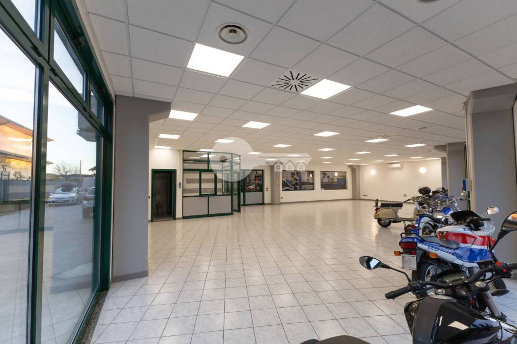 immagine annuncio 7 di 15