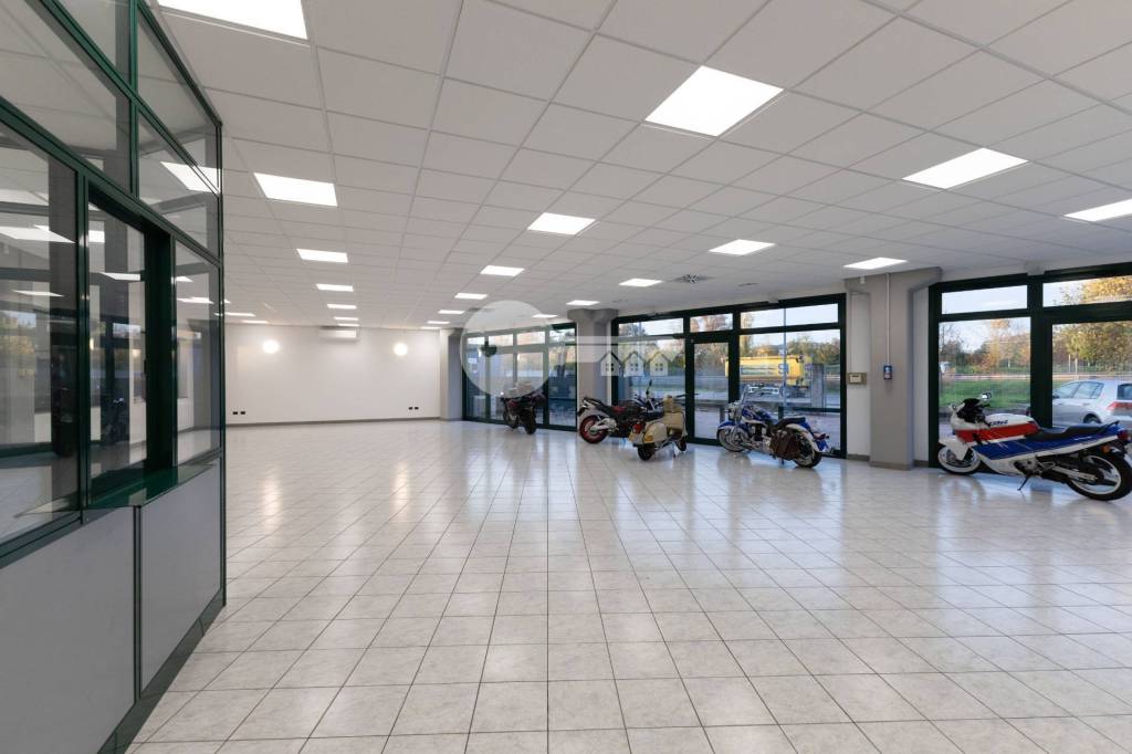 immagine annuncio 9 di 15