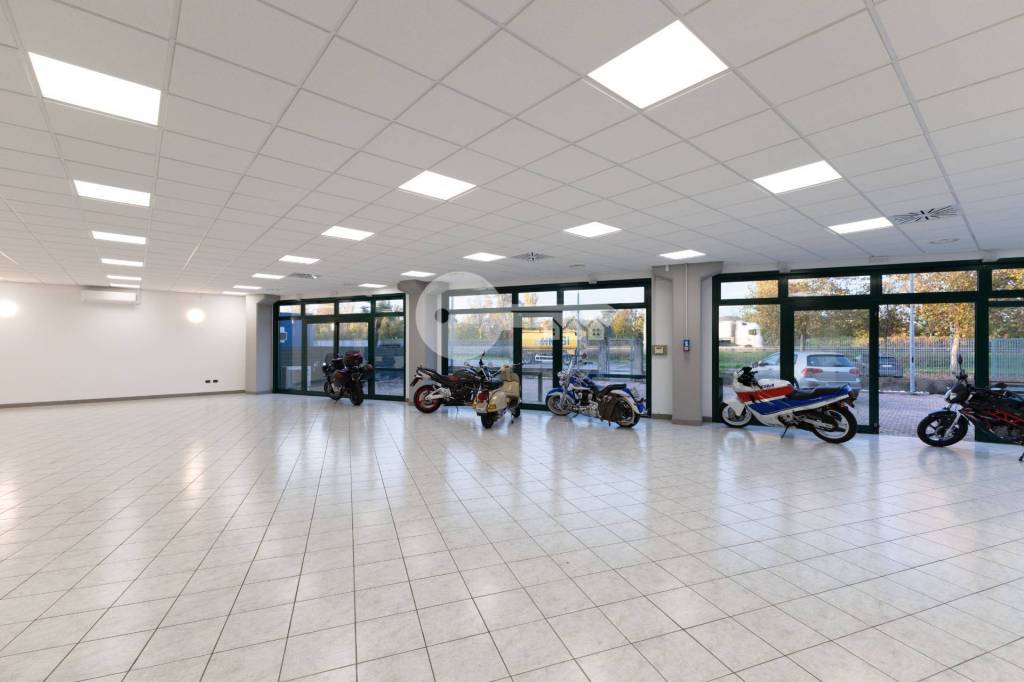 immagine annuncio 10 di 15