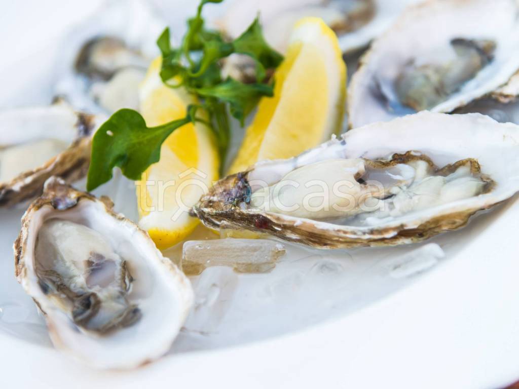 immagine annuncio 1 di 8