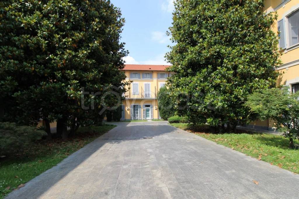 immagine annuncio 12 di 13