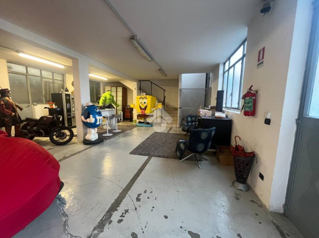 immagine annuncio 6 di 15