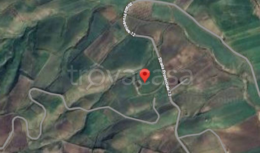 immagine annuncio 6 di 14