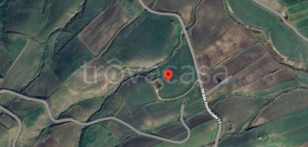 immagine annuncio 7 di 14