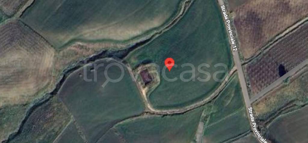 immagine annuncio 8 di 14