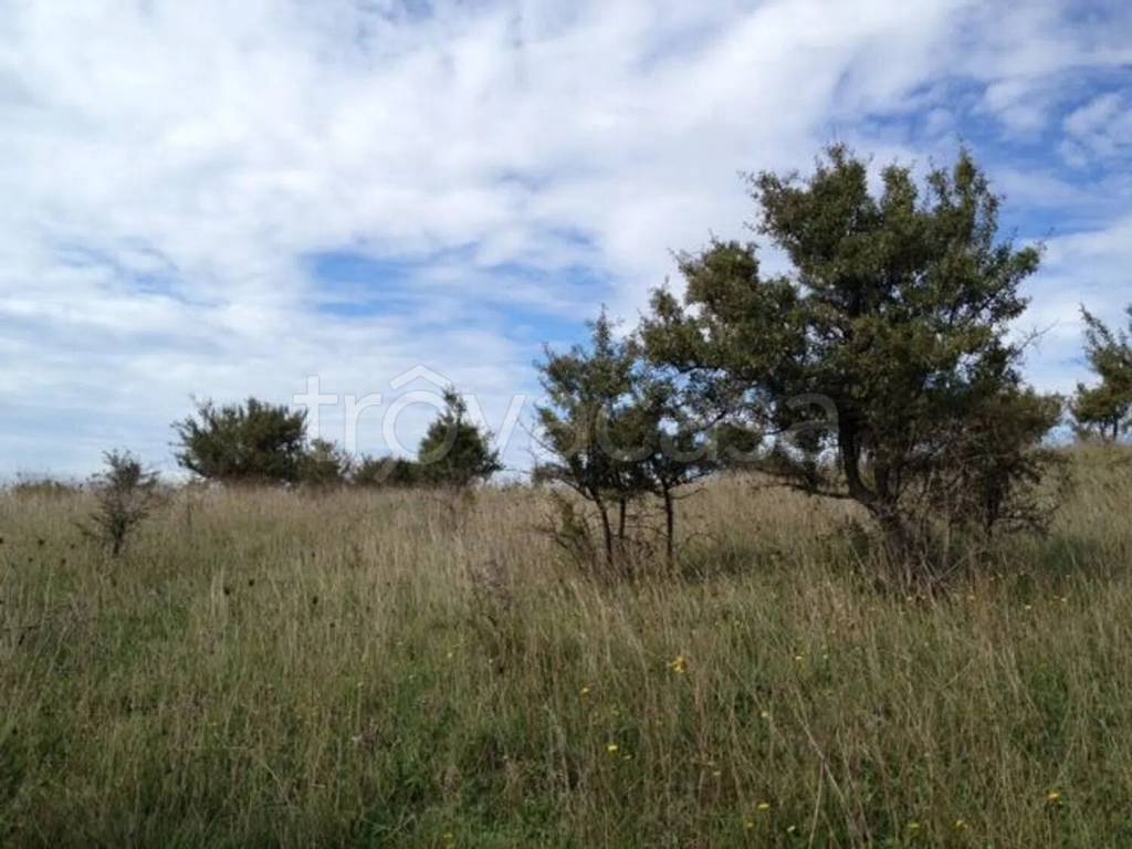 immagine annuncio 2 di 14