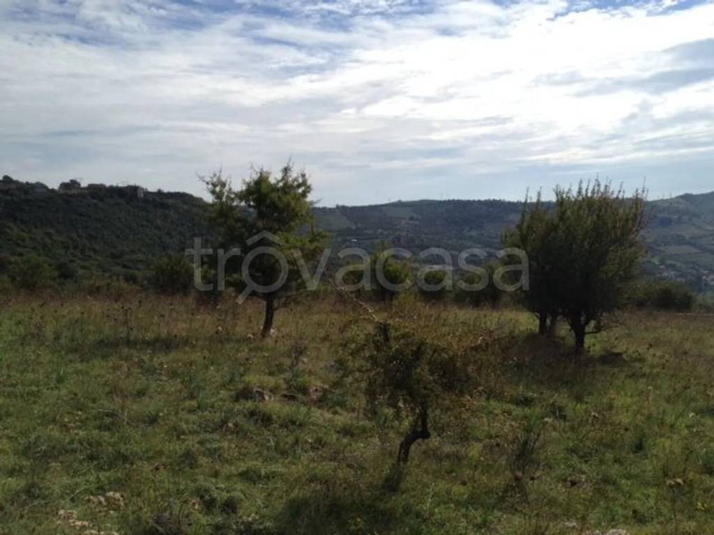 immagine annuncio 8 di 14